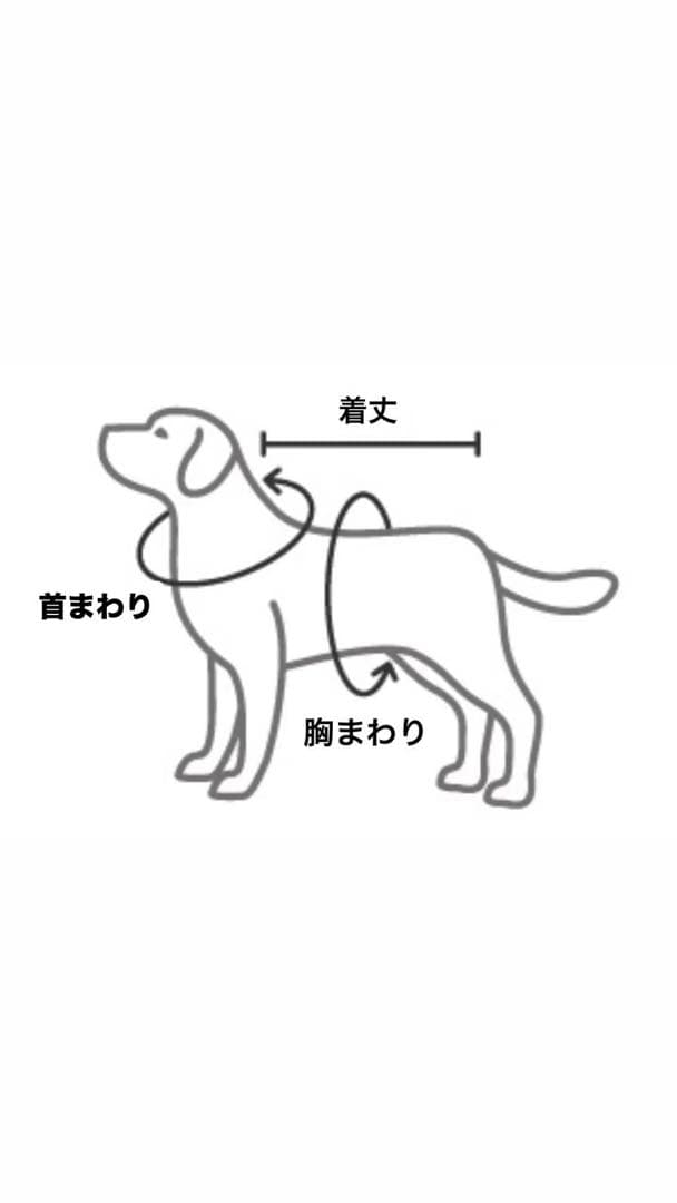 タンクトップ サイズ表