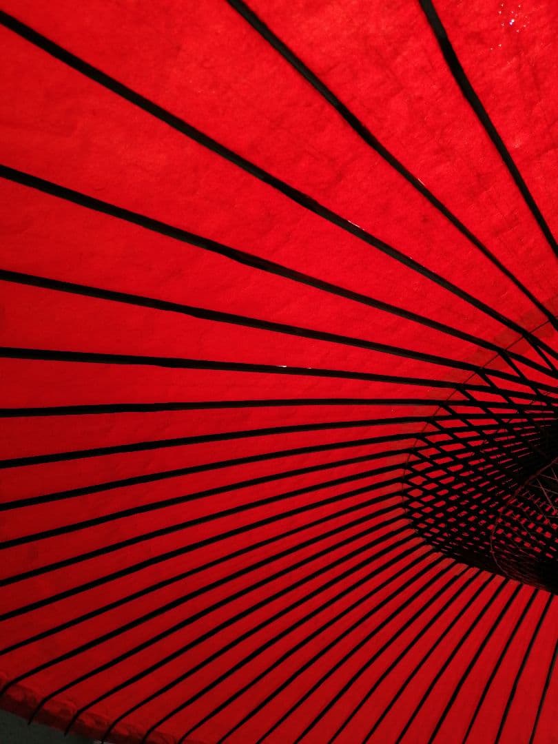 【茶道具】番傘　野点傘　その他832