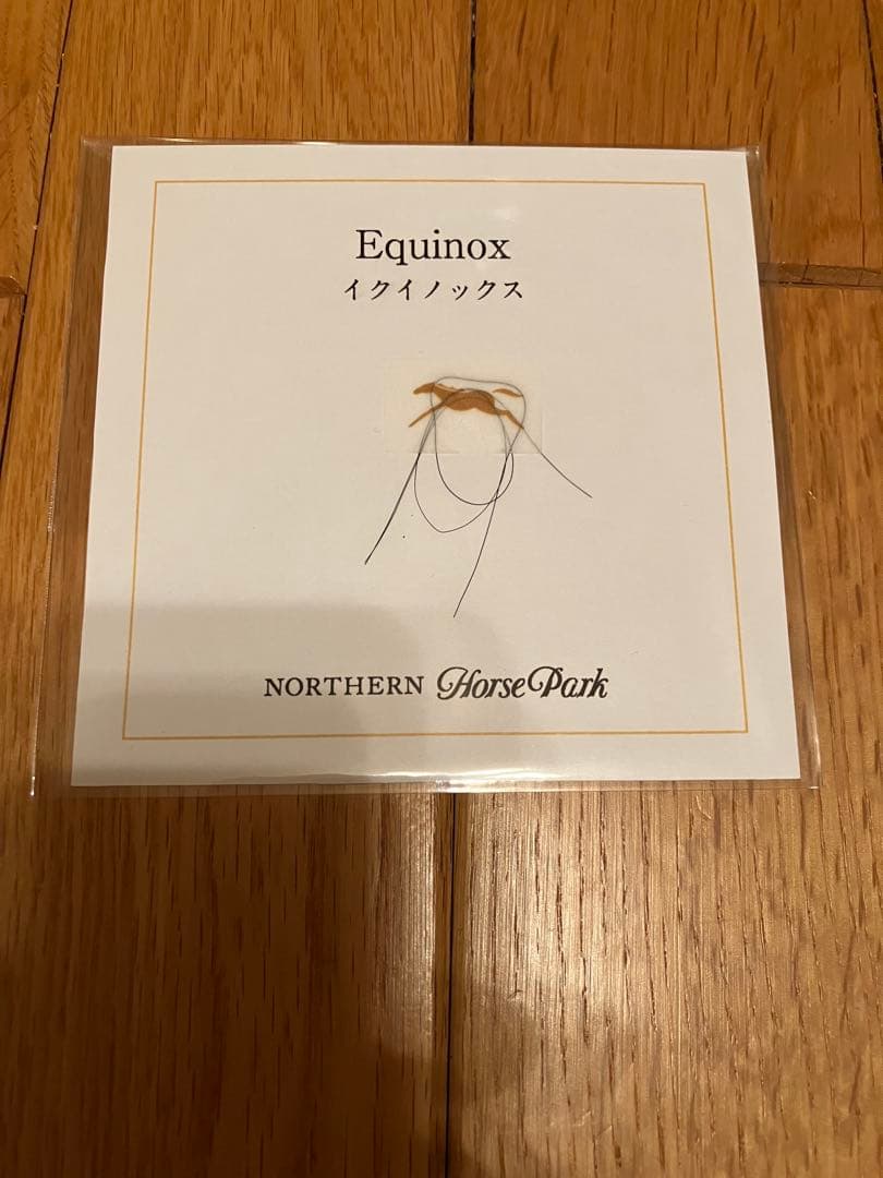 イクイノックス　鬣　たてがみ　2023 宝塚記念　馬券　台紙付き