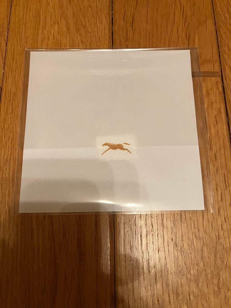 イクイノックス　鬣　たてがみ　2023 宝塚記念　馬券　台紙付き