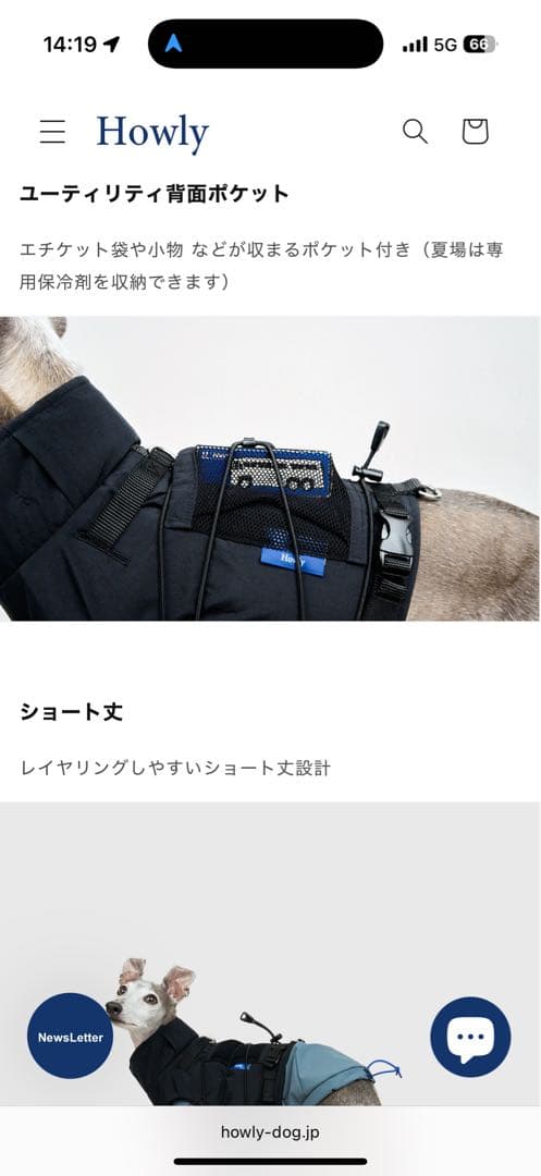 【Mサイズ黒】 試着のみHowly FRAME-X ADV HARNESS