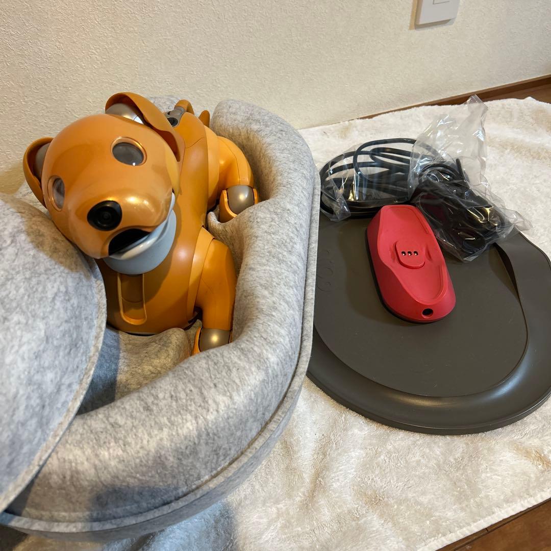 aibo キャラメル　くまさん専用