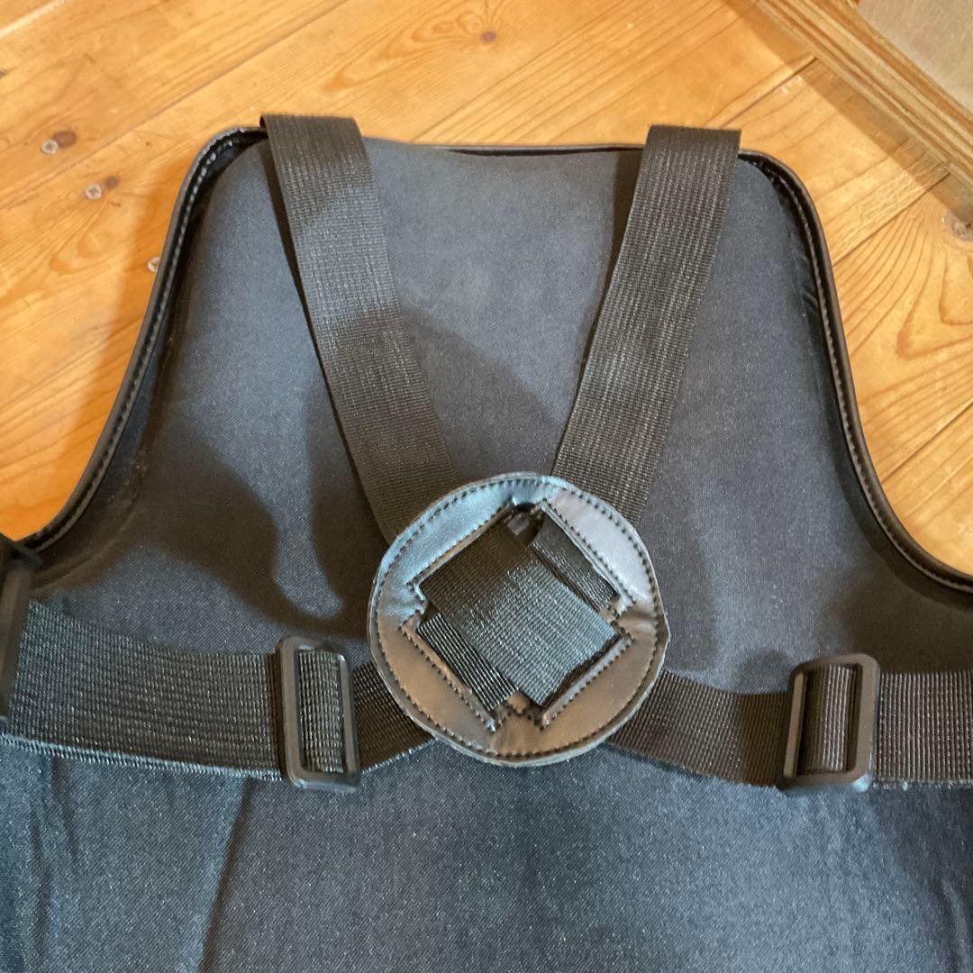 極美品！ボディメーカー プロテクター LIMITED MODEL フリーボディ