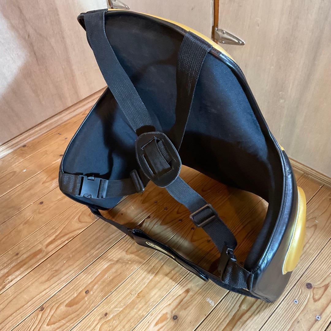 極美品！ボディメーカー プロテクター LIMITED MODEL フリーボディ