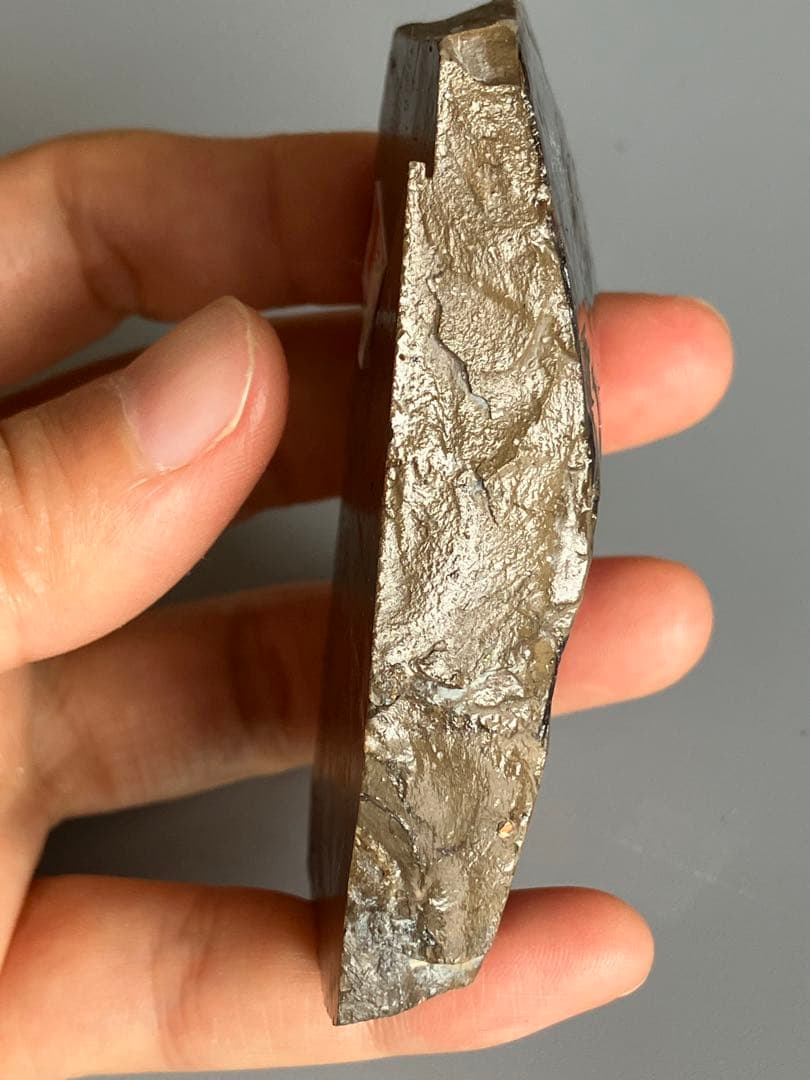 化石　原石　アンモライト　アンモナイト　幅7.7cm カナダ産　箱付き