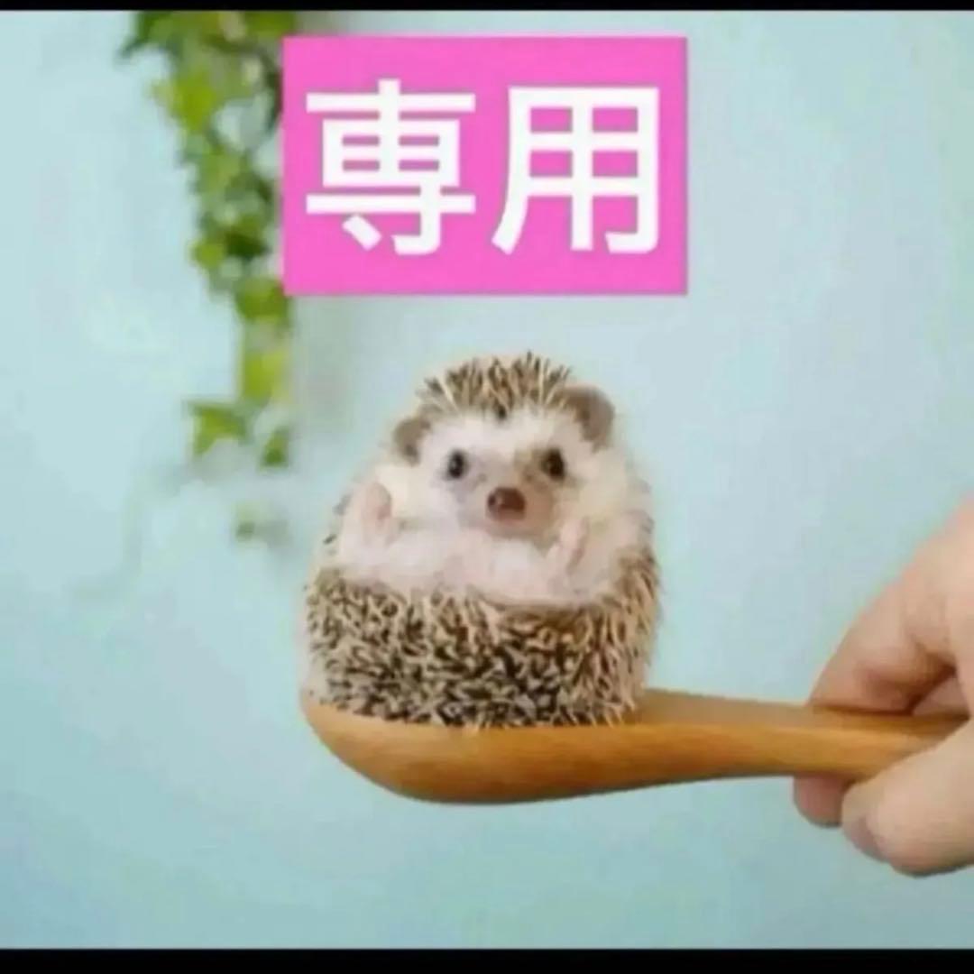 2点、ラムース、エマルジョン