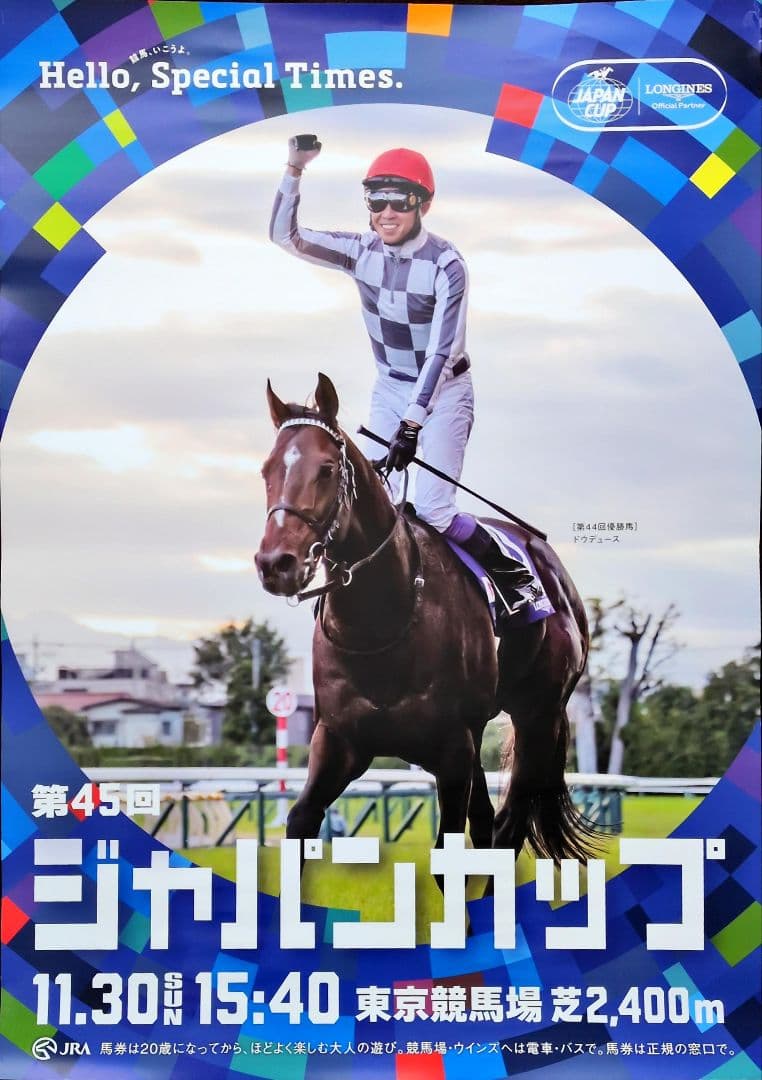 競馬 JRA ドウデュース ジャパンカップ ポスター B1
