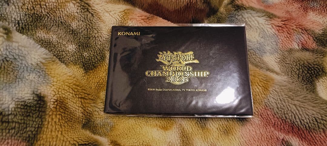 遊戯王ワールドチャンピオンシップ2025 WCS2025 プロモカード 黒封筒
