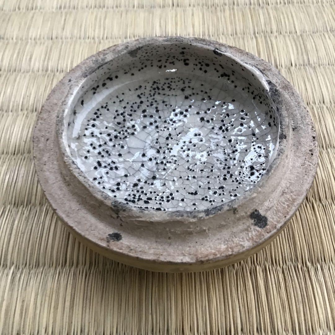 茶道具　香合　黄瀬戸干支巳香合　洞窯十五世　水野家康作　共箱　S77KGA