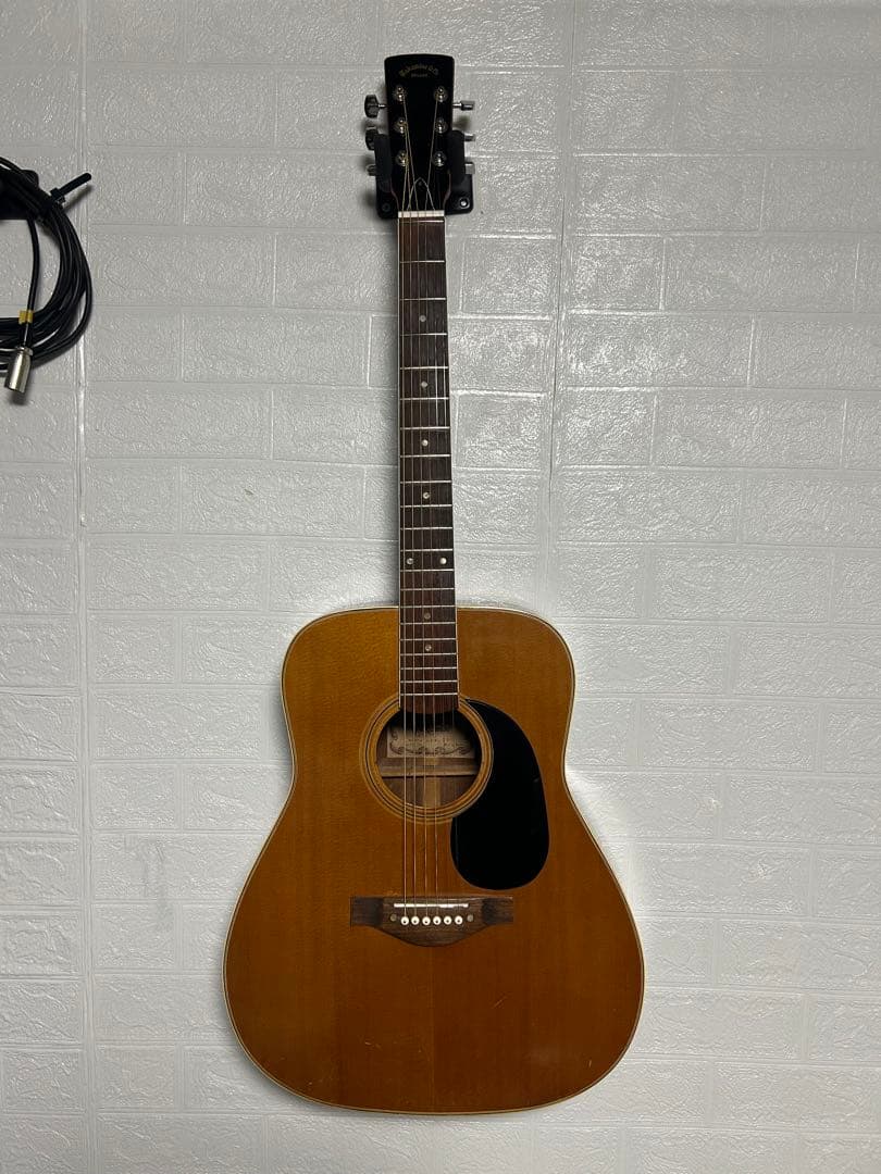 【レア】Takamine Deluxe ゼロフレット　ハードケース付き