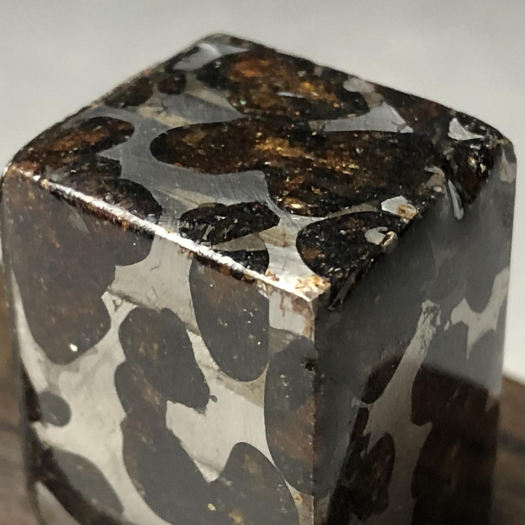 パラサイト隕石 隕石　石鉄隕石　セリコ隕石 美品　重さ約50ｇ　ケース付