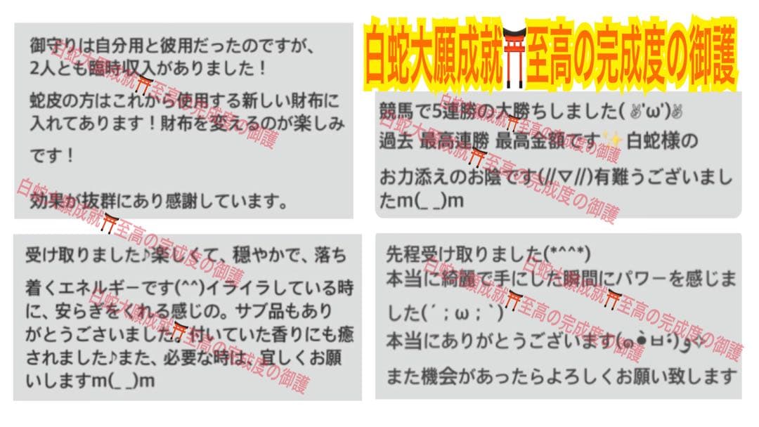 寛永通宝 ✨古銭✨種銭✨福銭✨蛇の抜け殻 ✨白蛇のお守り【天赦日ご祈祷済み】AB