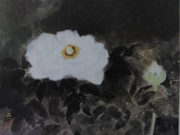 加藤 東一、白牡丹、希少な額装用画集より、新品高級額装付、状態良好