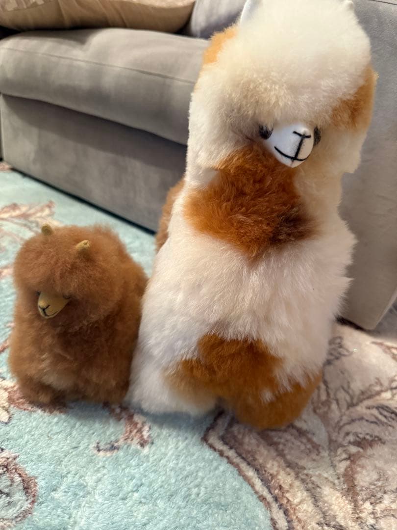 シドニーUGG限定アルパカ親子のぬいぐるみセット