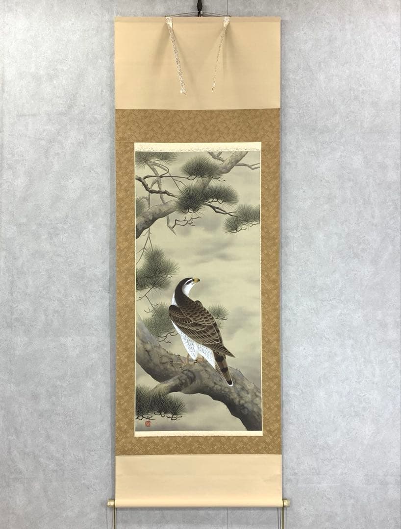 掛軸 斉藤栄昌 松に鷹 共箱 二重箱 花鳥図 無病長寿 繁栄 縁起物 E-6