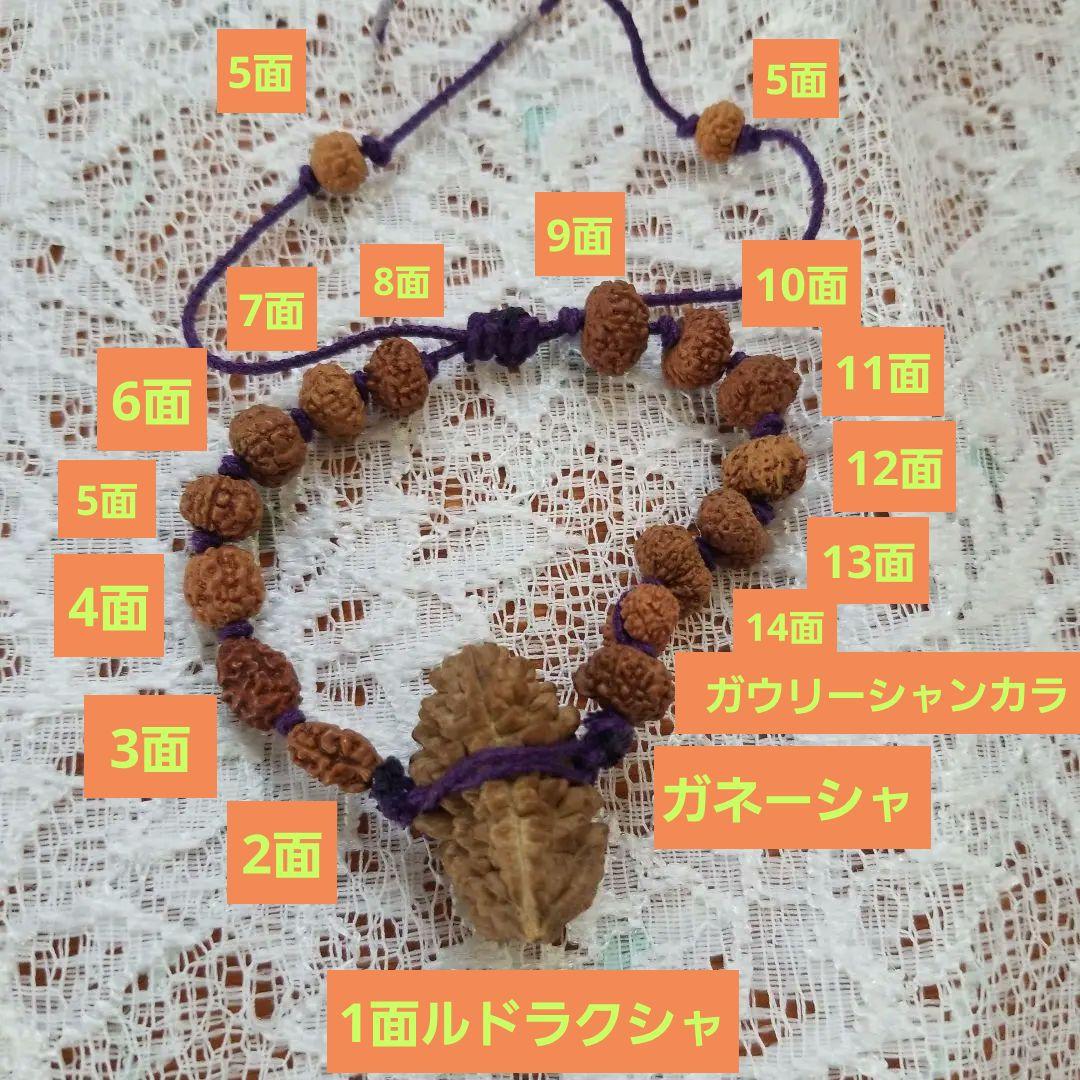 【10/5までの出品】ルドラクシャ1面～14面+ガウリーシャンカラ+ガネーシャ
