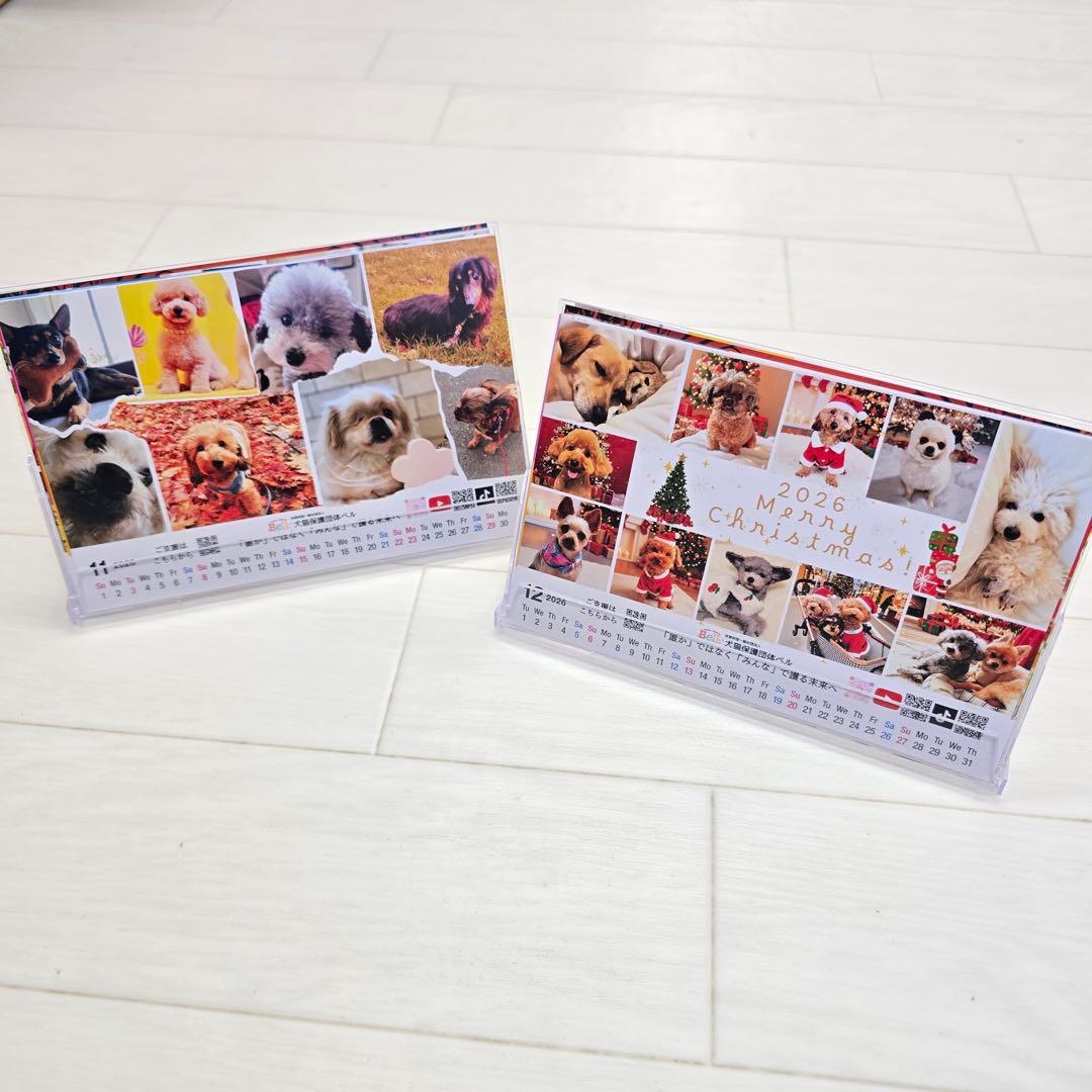 ①『犬』 卓上チャリティーカレンダー10枚セット