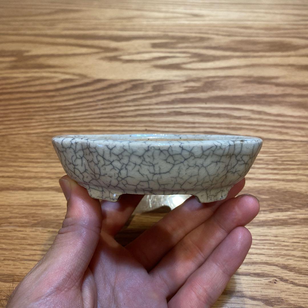盆栽鉢　柴勝h