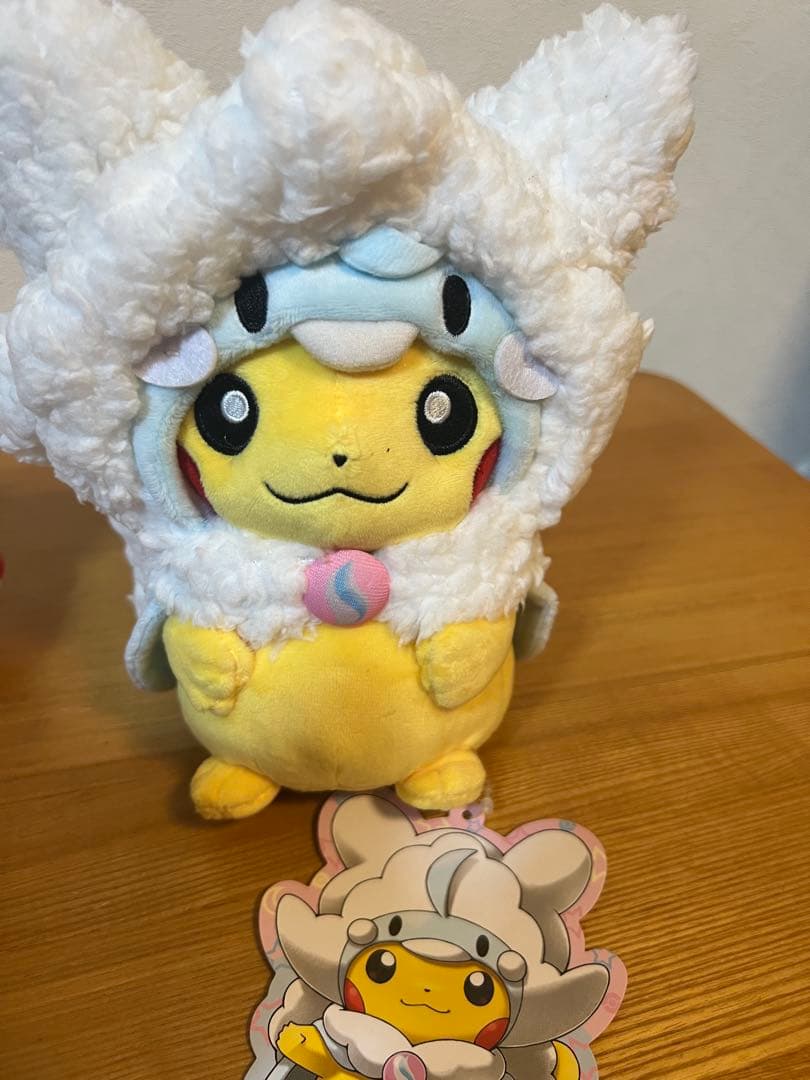 ポンチョを着たピカチュウ ぬいぐるみ　セット