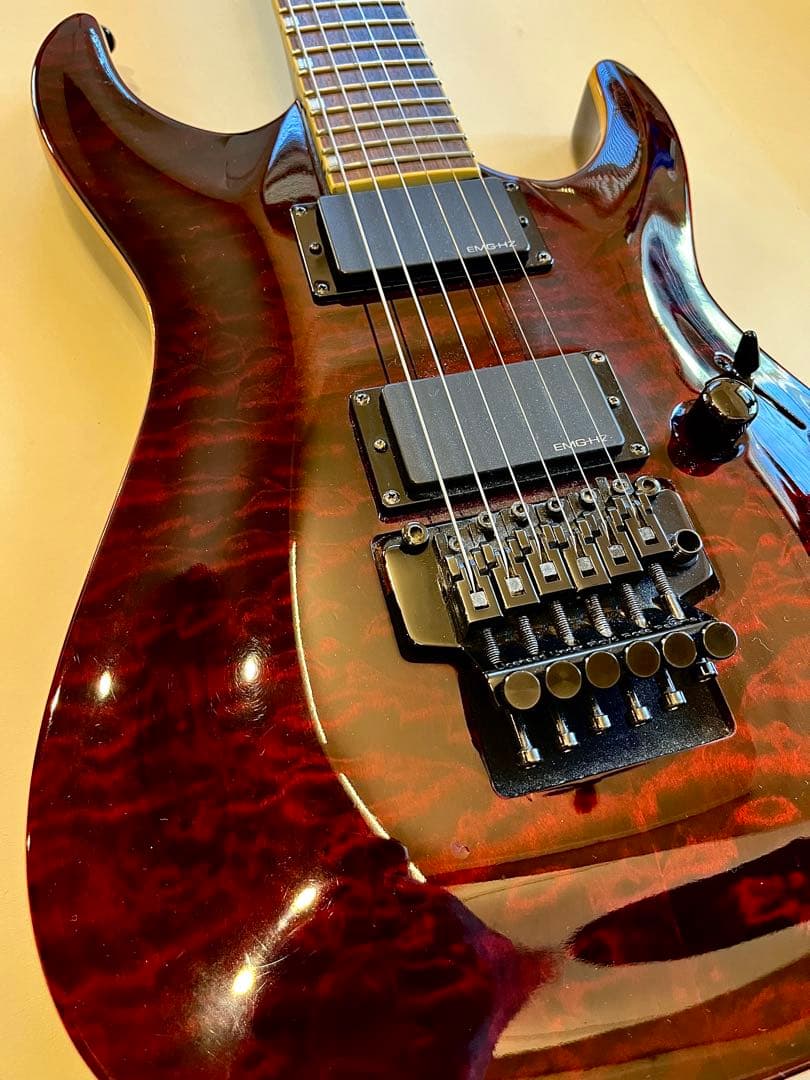 エレキギターおよびケース