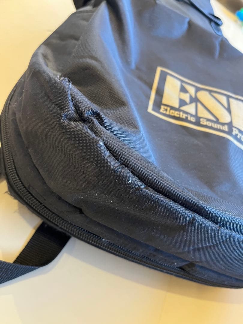 エレキギターおよびケース