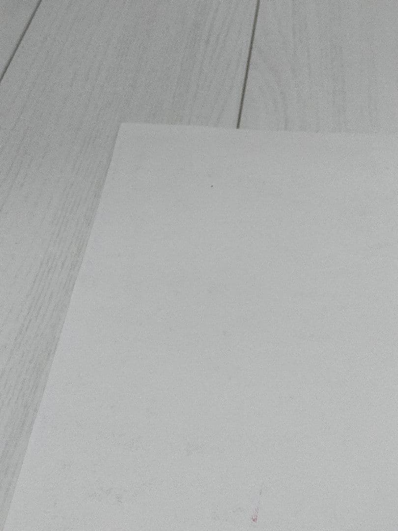 TOOL GREEN JELLO サイン入り ポスター 1991トゥール