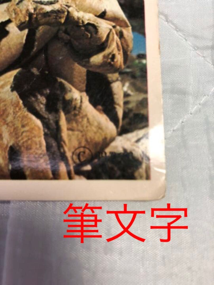 【入手困難 激レア】エレキング 1978年ポピー ビンテージ3点セット！