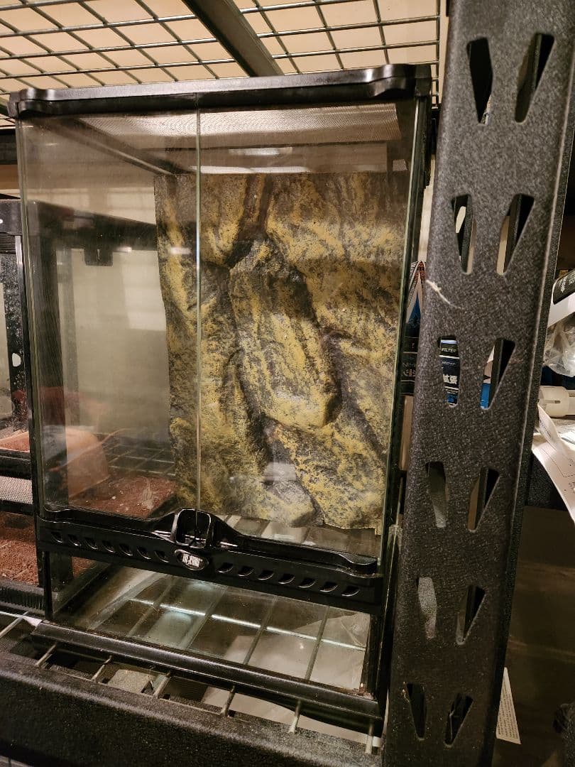 Kung様　グラステラリウム3045 中古2台