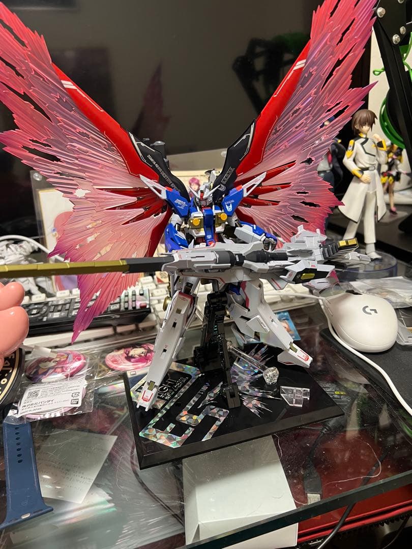 L ROBOT魂 デスティニーガンダムSPECⅡセット　開封済み