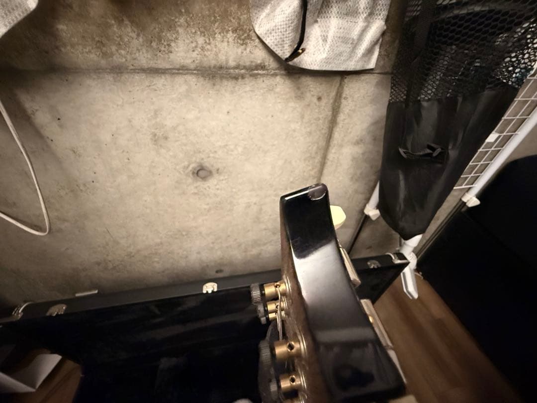 PRS custom24 10top 2024年製