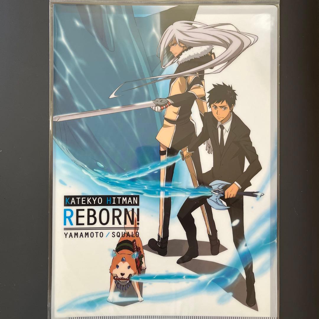 家庭教師ヒットマンREBORN！ A4クリアファイル