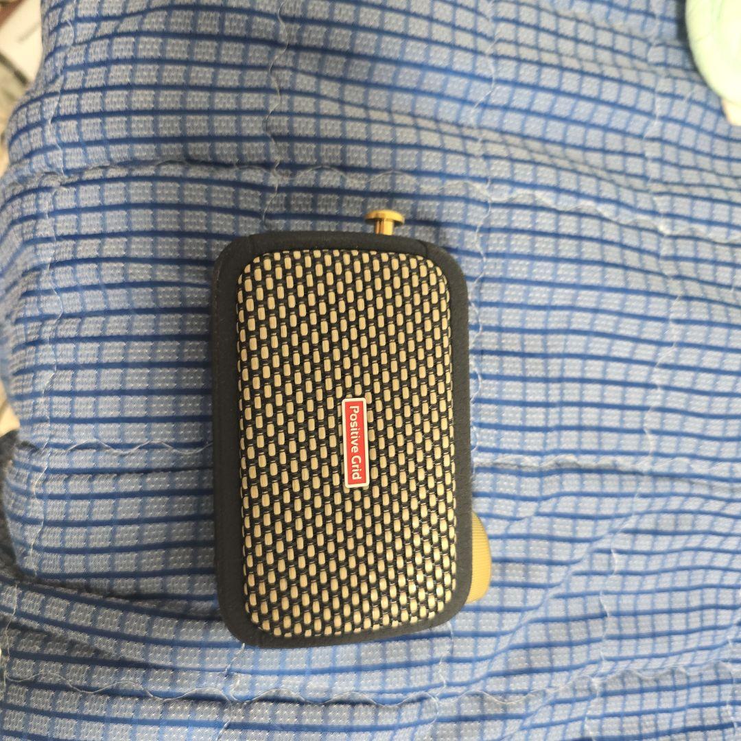 Positive Grid アンプ本体 コンパクト