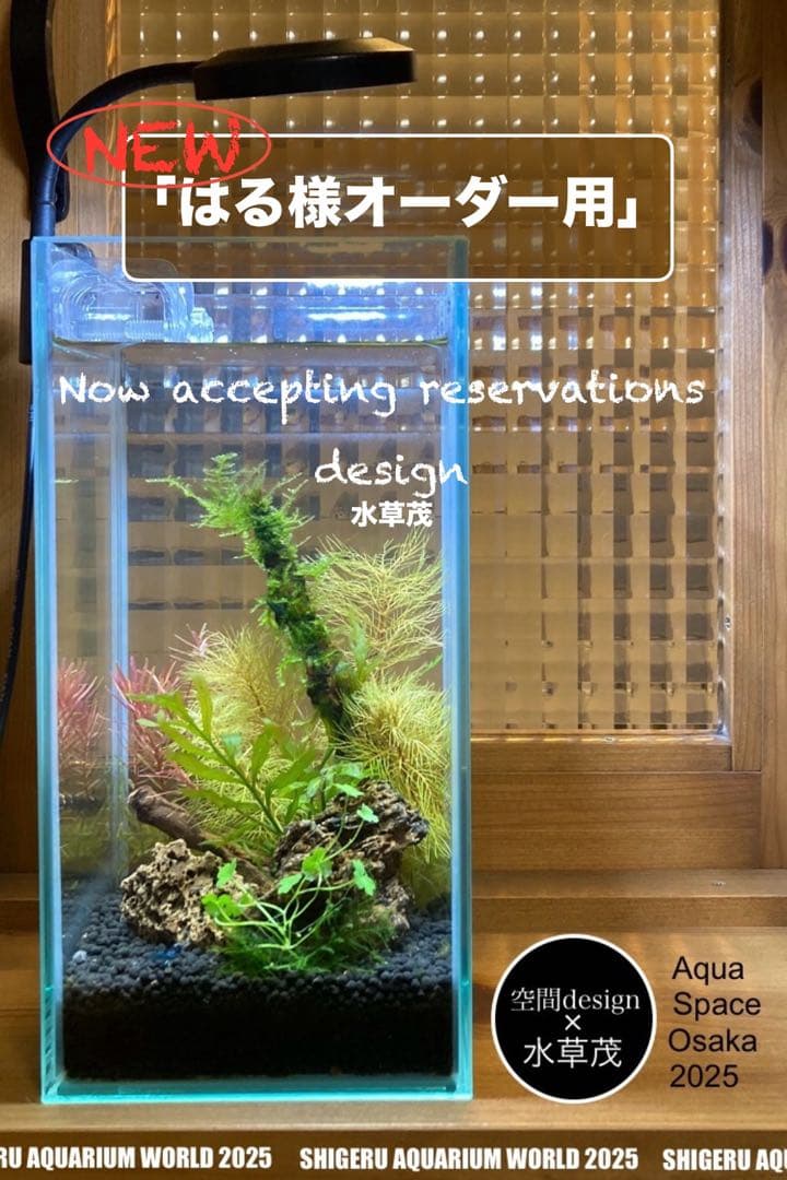 水草茂「はる様オーダー用」