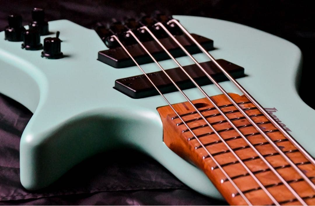 【美品】IBANEZ EHB1005MS-SFM ベース