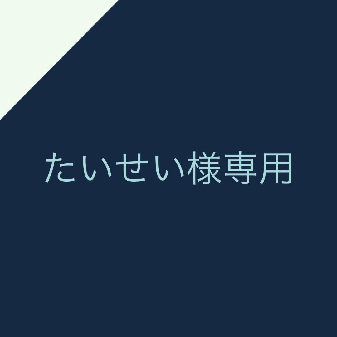 たいせいページ