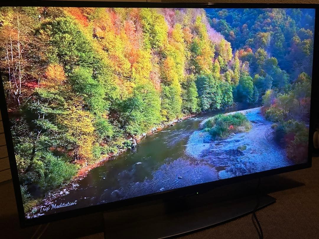 シャープ 40V型 4K液晶テレビ AQUOS 4T-C40BJ1 動画アプリ○