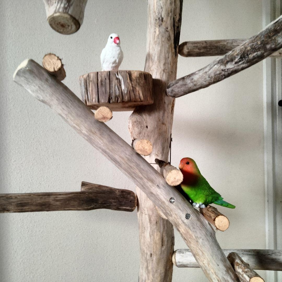 バードアスレチックジム大型 ㊹ 天然木 自然木 流木 止まり木 インコ オウム