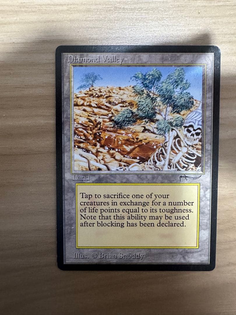 早い者勝ち特価　Diamond Valley 英語　mtg 引退　格安提供