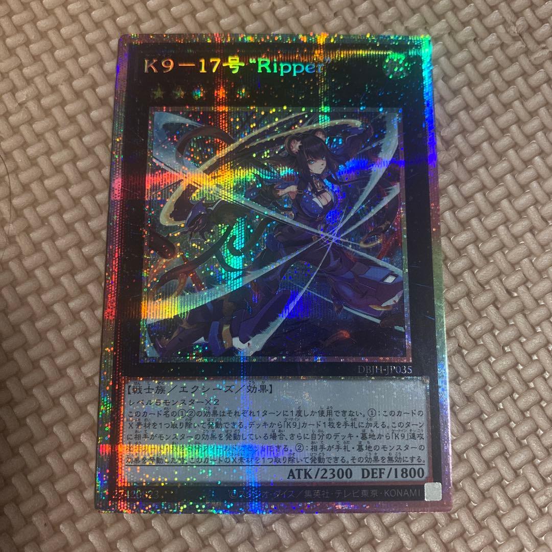 K9-17号 \