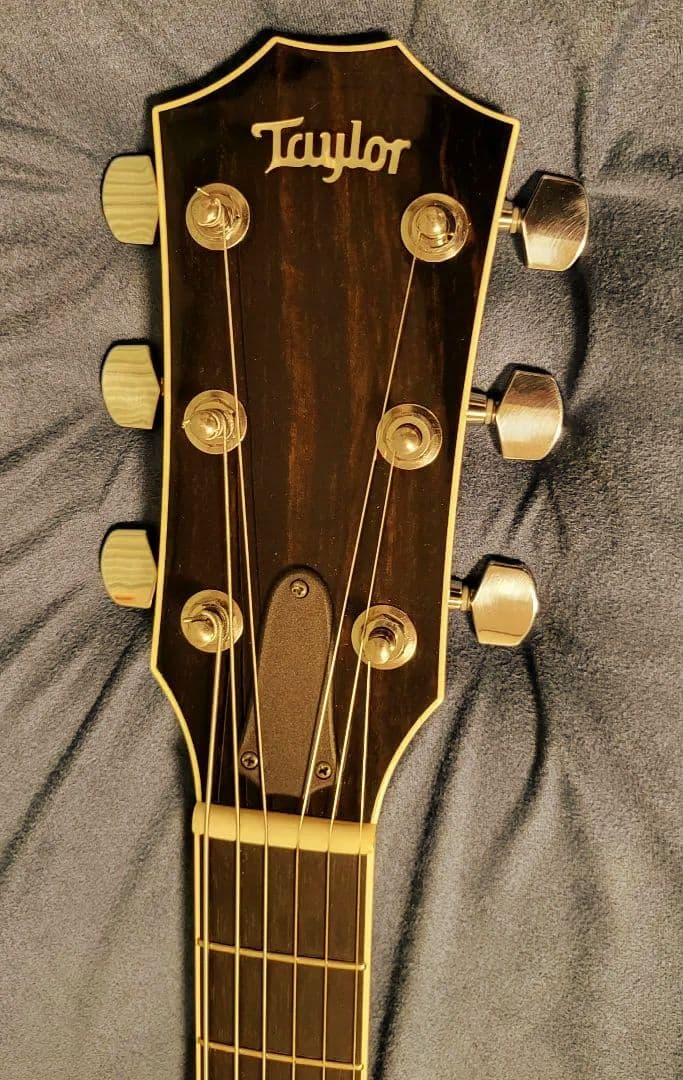 Taylor guiter T5　ハードケース付