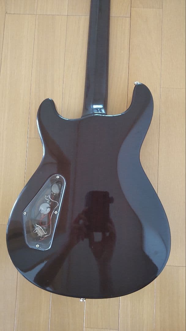 FERNANDES　APG-100 24F【レア】