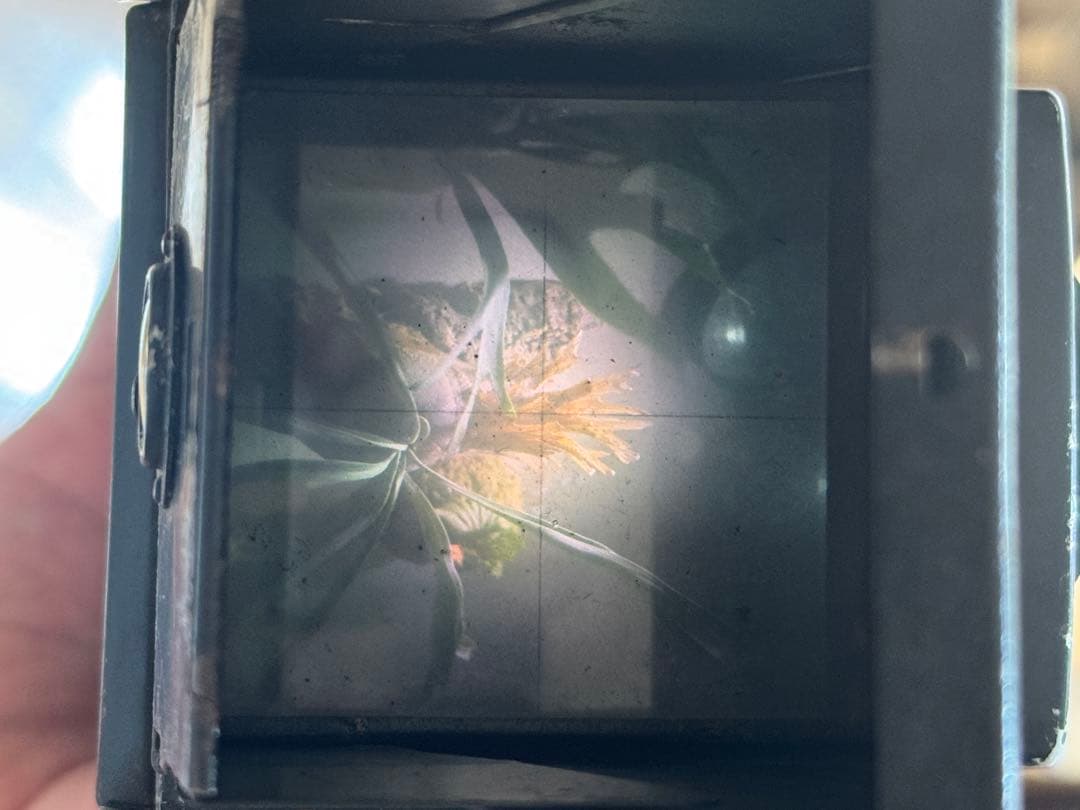 Rolleicord Art Deco ローライコードアールデコ