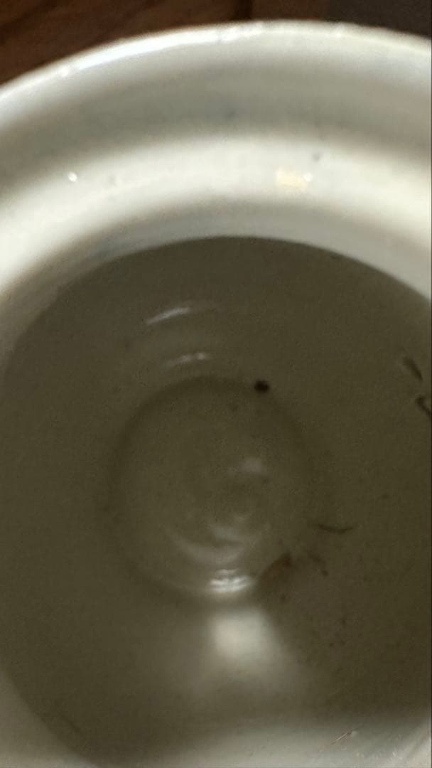 レックスホテル食器、コーヒーポット、クリーマー、シュガーポット，ナッツ皿のセット