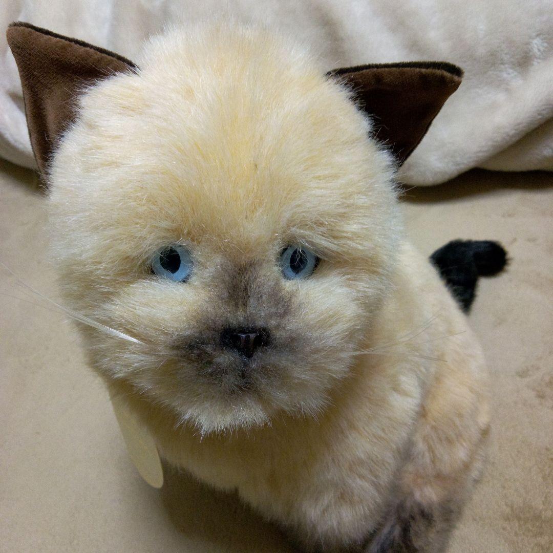 猫レトロぬいぐるみ　リアルねこ　WATFORD