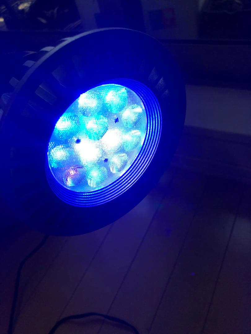 海水魚用品 Grassy LeDio RX122c CR