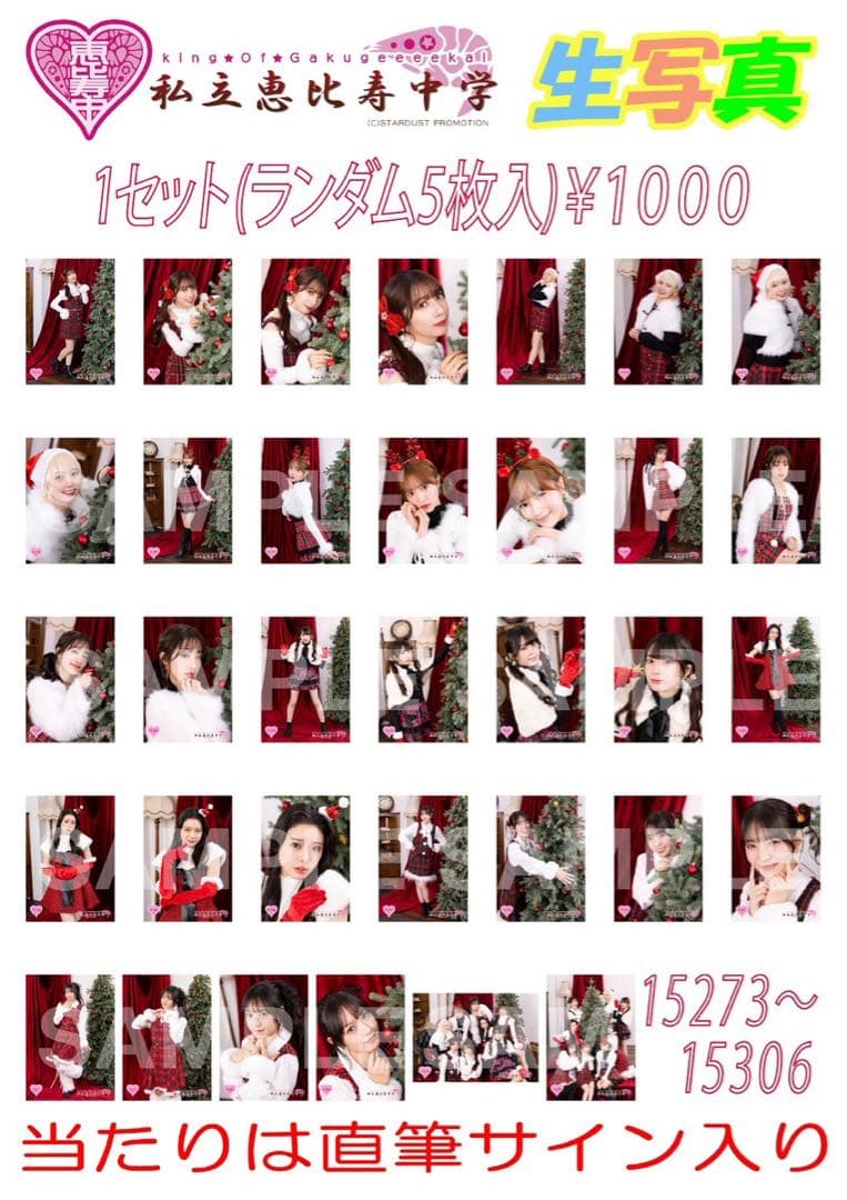 ⭐️24h以内に匿名配送！私立恵比寿中学　ぽーEVER 新体制　エビ中　えびちゅう