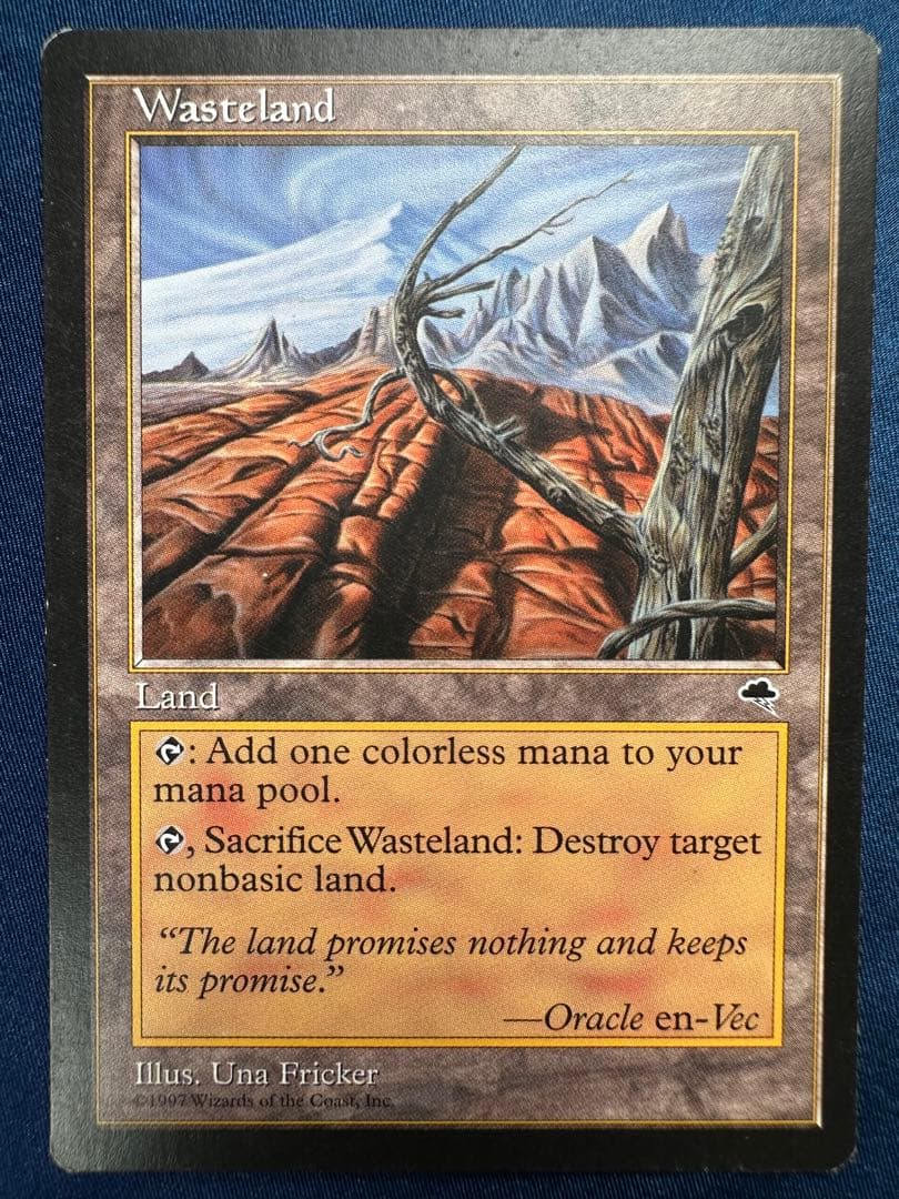 不毛の大地　Wasteland 4枚　テンペスト　MTG