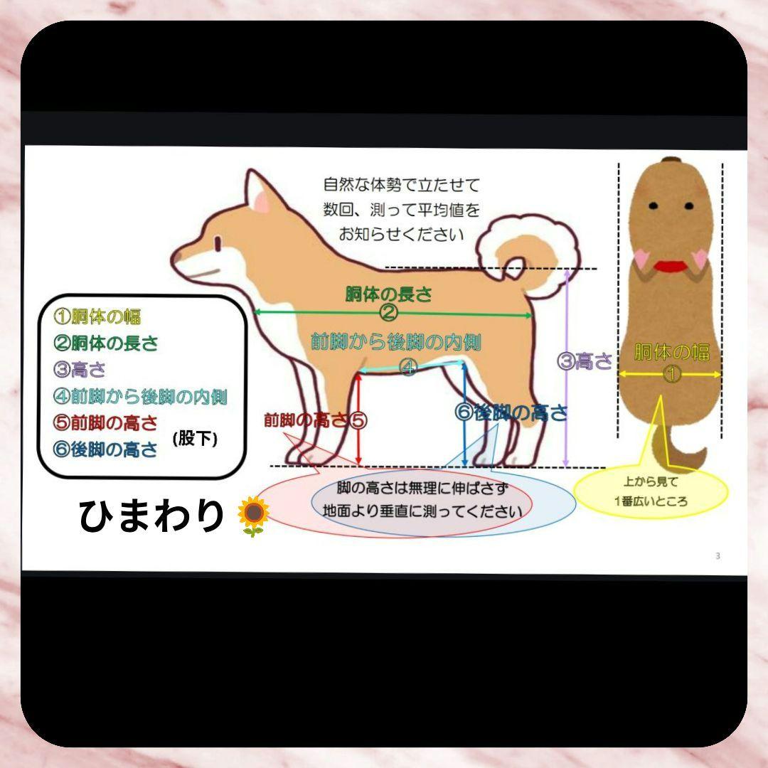 ワンちゃん4輪　リハビリ　食事補助　犬用車椅子　トイプードル等　犬の歩行器