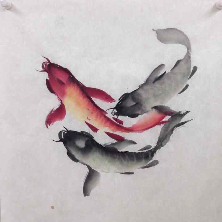 鯉