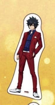 フェアリーテイル 抱き枕 グレイ アベマくじ当選品